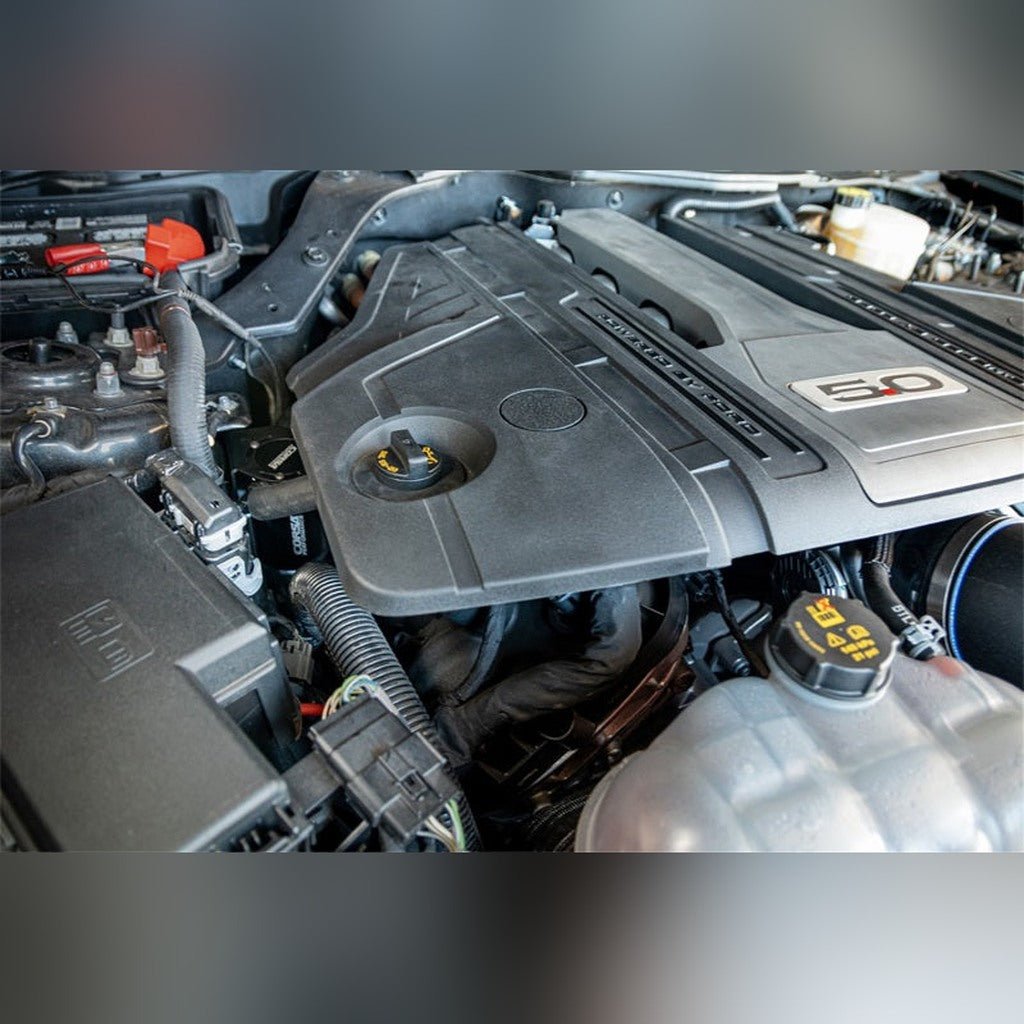 CORSA Performance Oil Catch Can | 2018-2023 Ford Mustang - Stateside Performance - Oil Catch Cans - CORSA Performance - CORSA Performance Oil Catch Can | 2018-2023 Ford Mustang