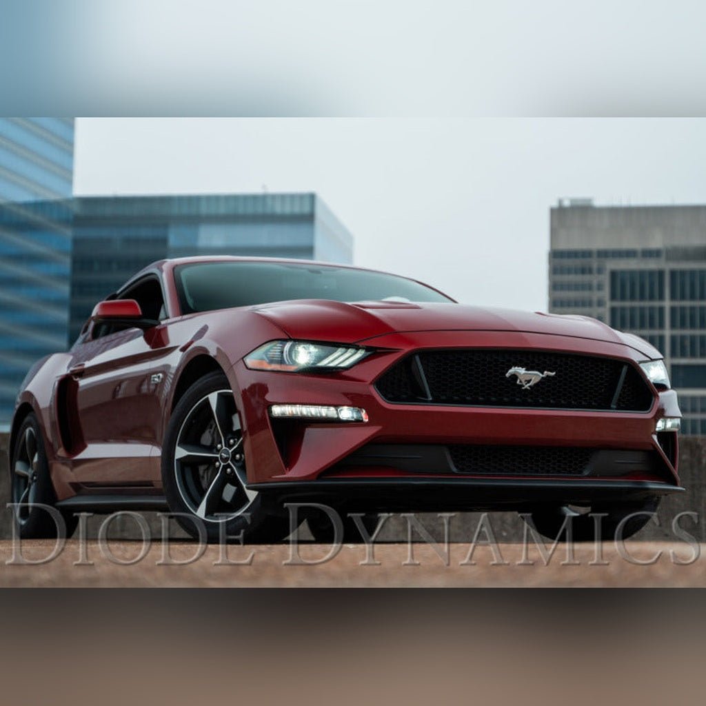 Diode Dynamics Elite Series Combination Fog Lamp - Cool White | 2018 - 2023 Ford Mustang - Stateside Performance - Fog Lights - Diode Dynamics - Diode Dynamics Elite Series Combination Fog Lamp - Cool White | 2018 - 2023 Ford Mustang