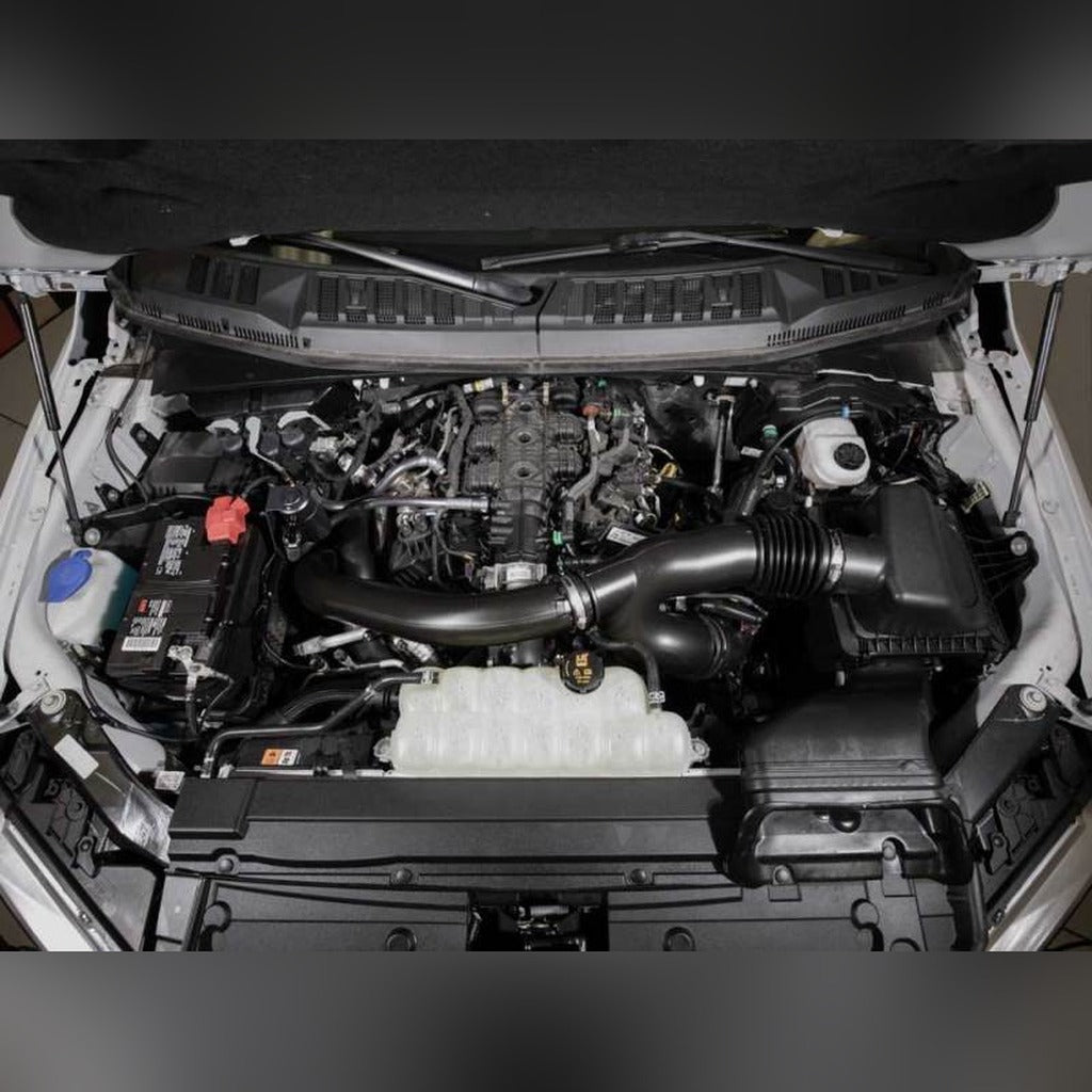 K&N Oil Catch Can Separator - 3.5L V6 Gas | 2015-2020 Ford F150 - Stateside Performance - Oil Separators - K&N Engineering - K&N Oil Catch Can Separator - 3.5L V6 Gas | 2015-2020 Ford F150